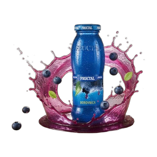 Fructal Blueberry Nectar 200 ml | Hamilton Euromarket