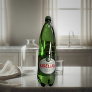 Sarajevski Kiseljak Carbonated Natural Mineral Water 500ml — authentic beverage from Bosnia and Herzegovina | Hamilton Euroma