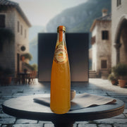Kalinov Orange Carbonated Soft Drink 16.9 Fl oz — authentic pantry from Russia | Hamilton Euromarket