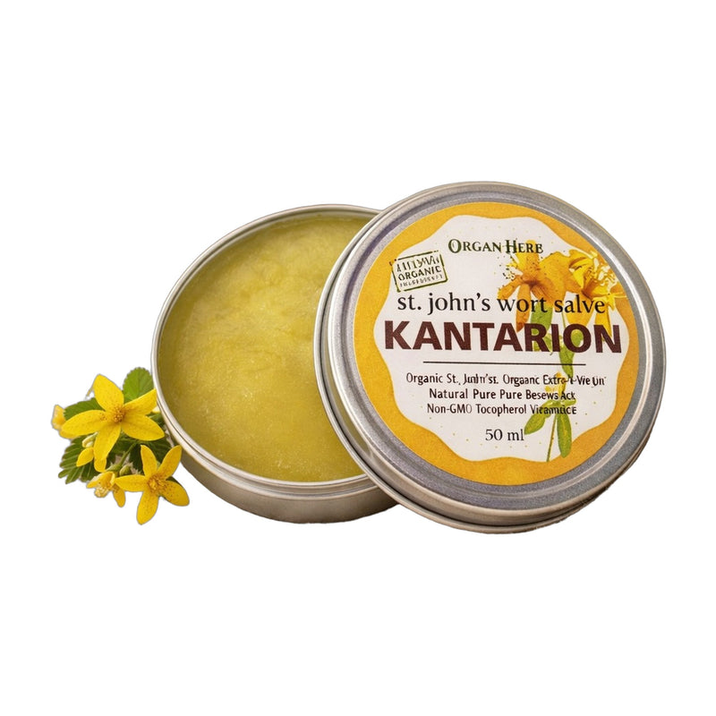 Organ Herb Kantarion St. John's Wort Salve 50 ml | Hamilton Euromarket