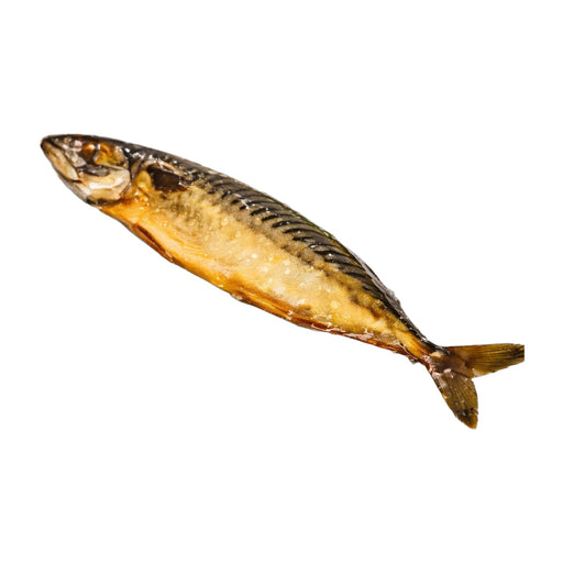 Frozen Whole Mackerel 5 kg | Hamilton Euromarket