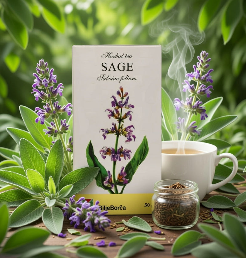 Bilje Borca Sage Tea (Zalfija) Loose 50 g