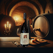 Vila Vina Prokupac Dry Red Wine Vintage 2017 750ml — authentic alcohol from Serbia | Hamilton Euromarket
